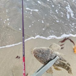 ちょい投げ行ってきました!