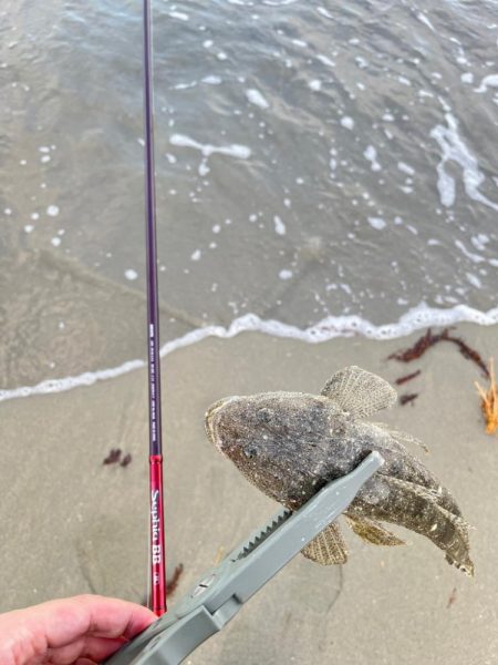 ちょい投げ行ってきました!