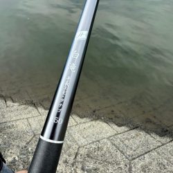 初めてのテナガエビ釣り