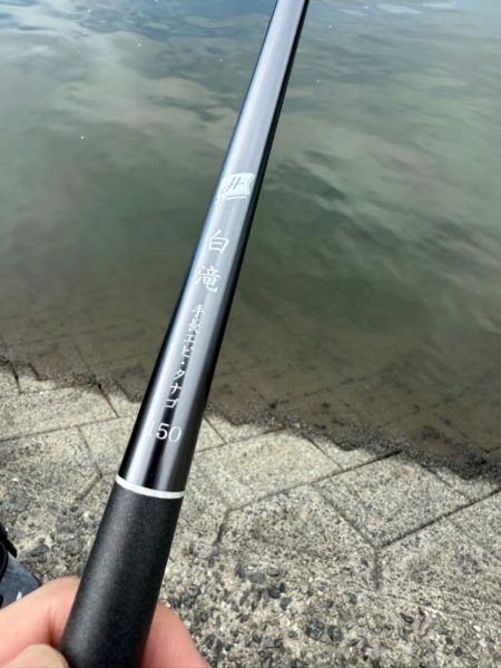 初めてのテナガエビ釣り