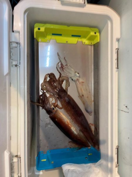 イカメタル2回目