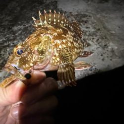 疲れた身体に癒しを求めて…