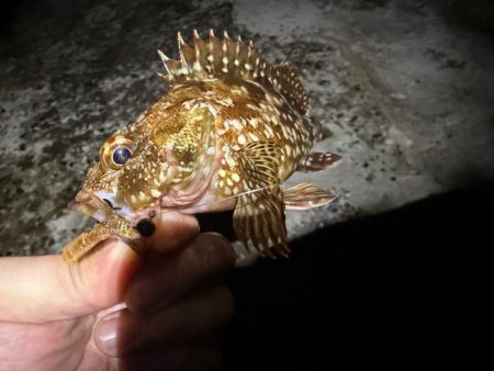 疲れた身体に癒しを求めて…