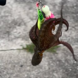 オクトパッシング