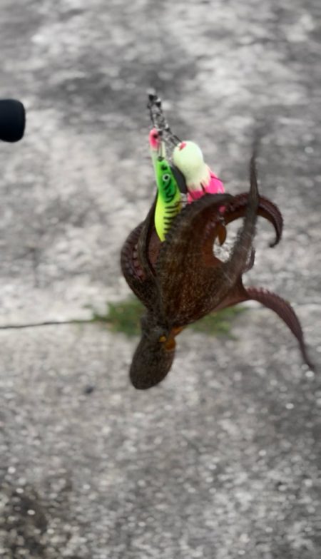 オクトパッシング