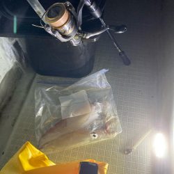 剣先、渋いけど大剣多い？