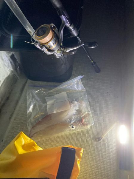 剣先、渋いけど大剣多い？