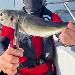 ボートアジング