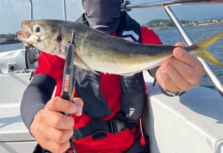 ボートアジング