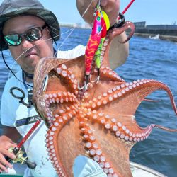 衝撃!マダコ祭り!