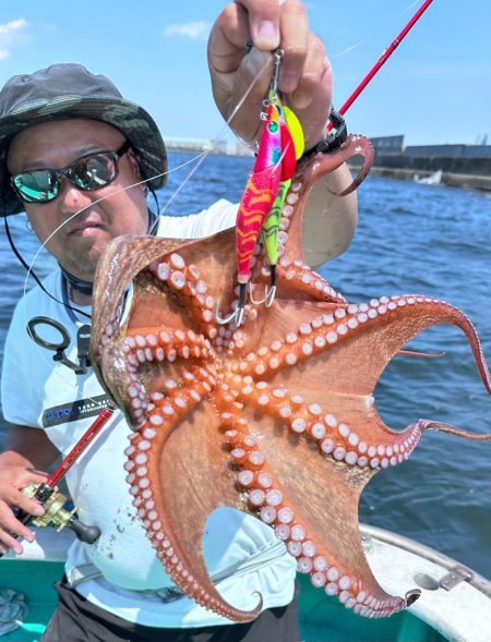 衝撃！マダコ祭り！