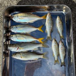 昨日よりダメ！