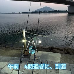 ちょい投げ シロギス釣り