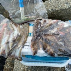 シロギスタの10種達成トリプルG