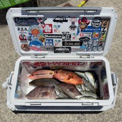 根魚/落とし込み