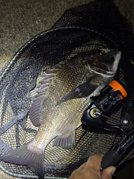 大阪ライトゲーム