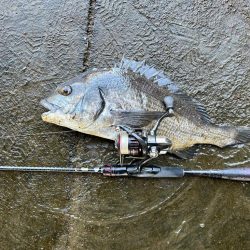 チニング、、、？