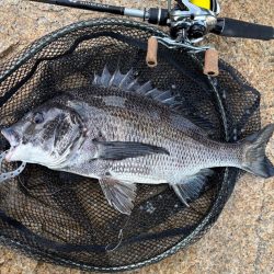 チニングとライトゲーム