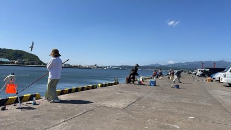 しめ鯖用のデカサバを求めて