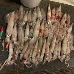 鳥取イカメタル