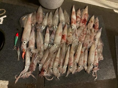 鳥取イカメタル