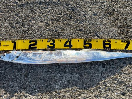 今年初釣果‼️…