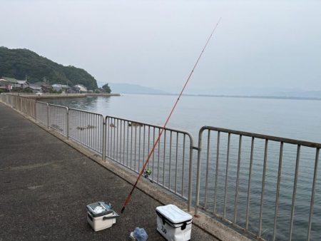 丹後宮津へキス釣りに行ってきました