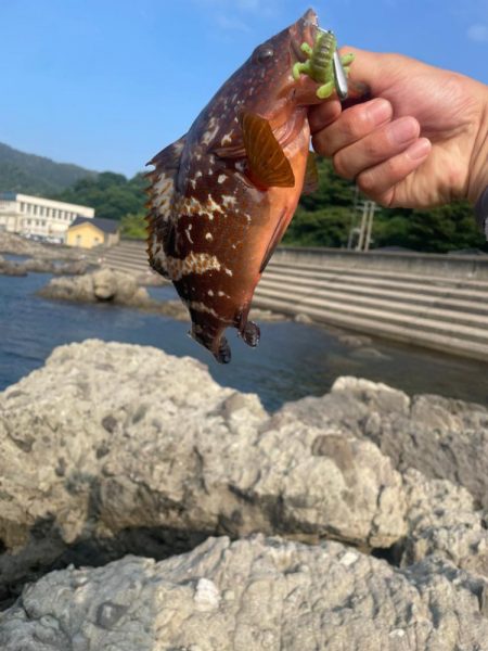 加茂ロックフィッシュ