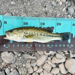 ホームレイク大隅湖