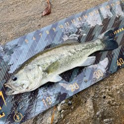 夏といえば…⁇☀️