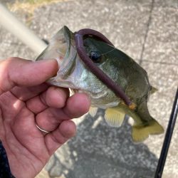 真夏の日中でも