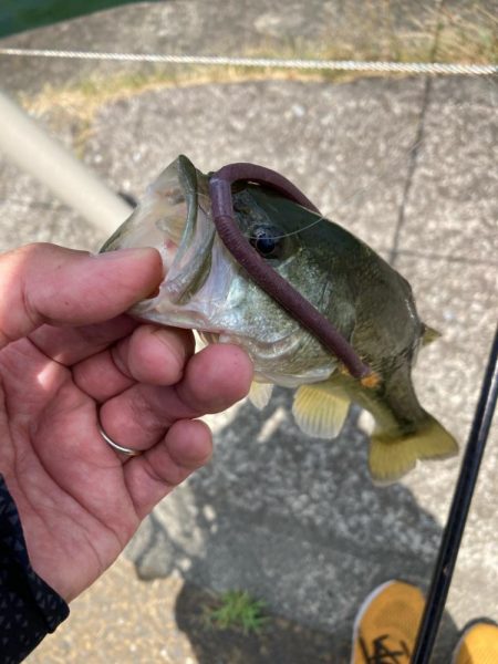 真夏の日中でも