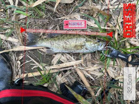 気温35℃！真夏に狙ってきたスモールマウスバス！