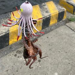 タコ釣り自己ベスト