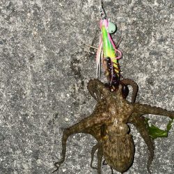 まずまず、上向き❓