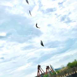 小浜新港ガラガラということは…