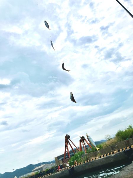 小浜新港ガラガラということは…