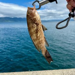 ハードロック⚡️