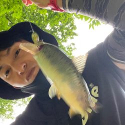 五色沼　トラウト