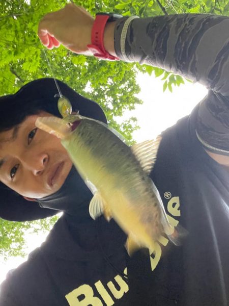 五色沼　トラウト