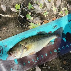 久々のフィールドへ