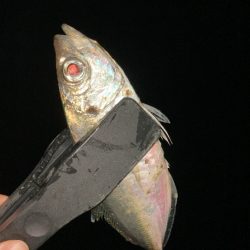 一斉清掃の前に