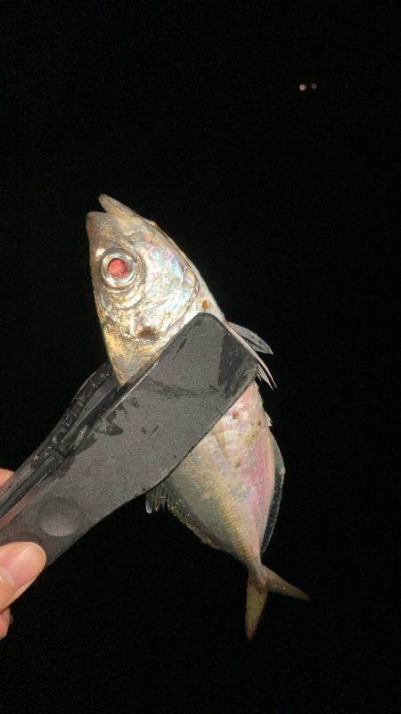 一斉清掃の前に