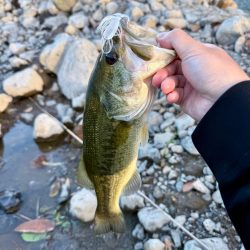 ホームグラウンド