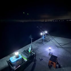 夜釣り