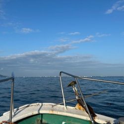 明石沖タコ釣り!自己新記録出ました!