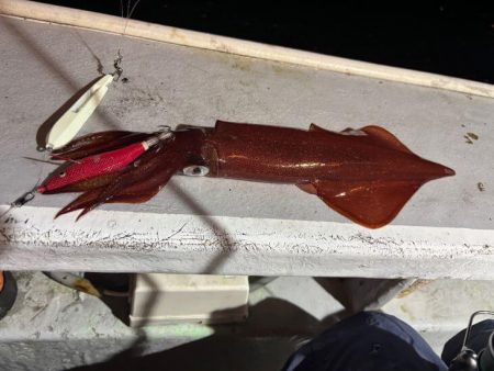 【鳥取イカメタル】今回も潮激流と激渋