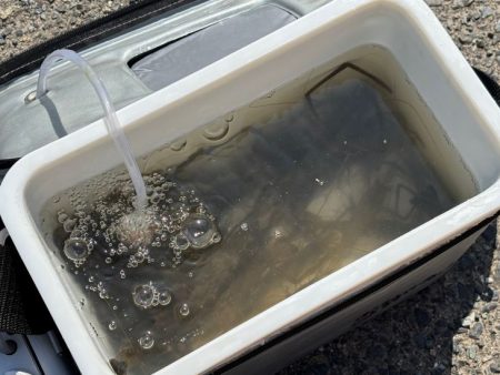 テナガエビ釣り｜潮位が高く居場所を探せず激…