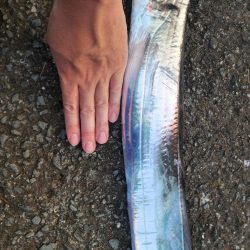 久しぶりの釣果！