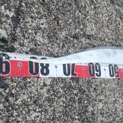 つれればおっきい